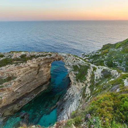 Francesca Georgoutsatika